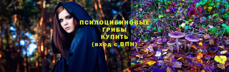 купить   ОМГ ОМГ ссылка  Галлюциногенные грибы MAGIC MUSHROOMS  Козьмодемьянск 